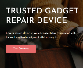 Project screenshot 1